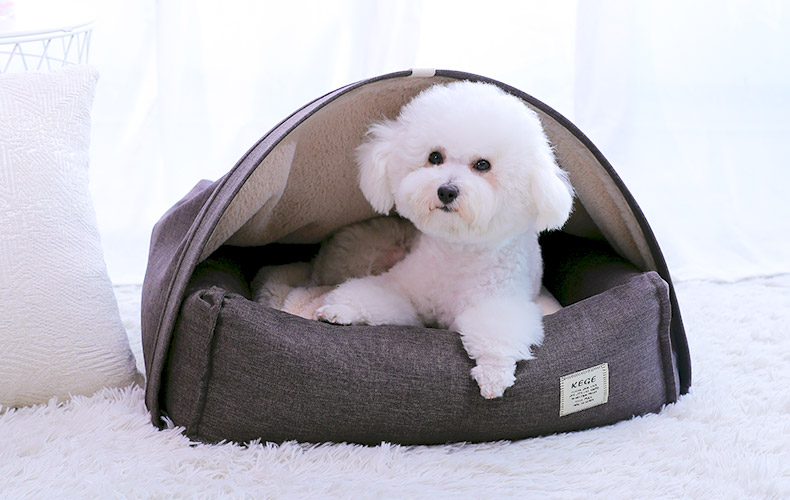 Foldable Dog and Cat Bed – Portable & Comfortable