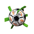Small Dog Football Toy – Bite-Resistant Durable Molar Chew Toy for Training & Play