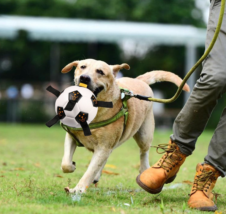 Outdoor Dog Ball Toy with Rope – Perfect for Training & Play