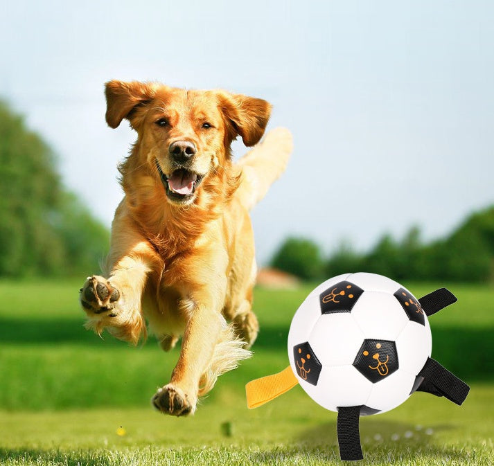 Outdoor Dog Ball Toy with Rope – Perfect for Training & Play