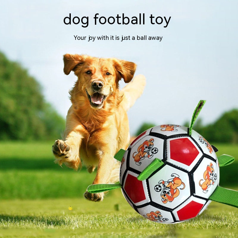 Small Dog Football Toy – Bite-Resistant Durable Molar Chew Toy for Training & Play
