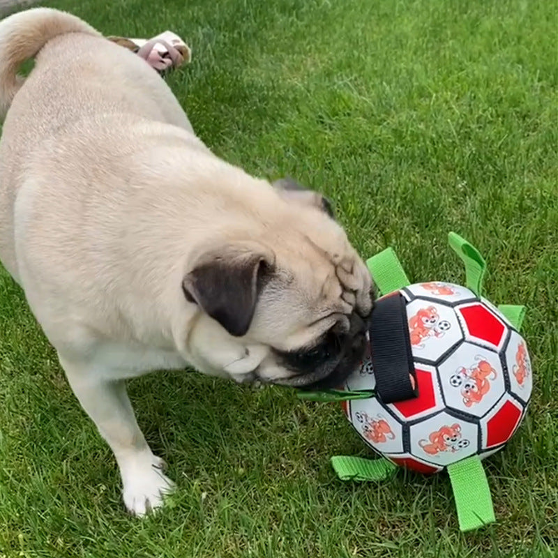 Small Dog Football Toy – Bite-Resistant Durable Molar Chew Toy for Training & Play
