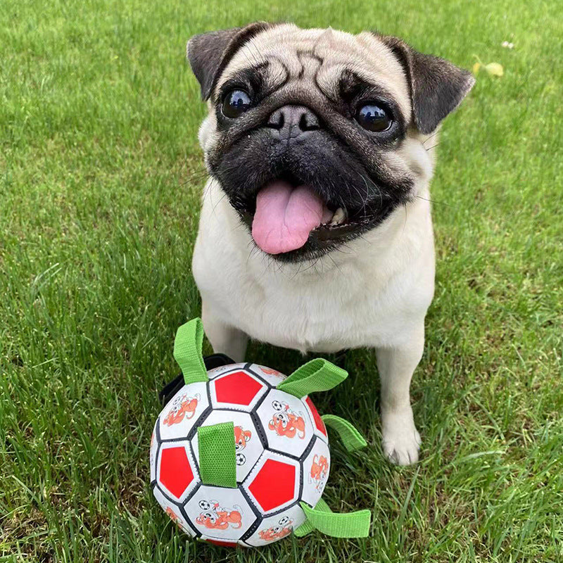 Small Dog Football Toy – Bite-Resistant Durable Molar Chew Toy for Training & Play