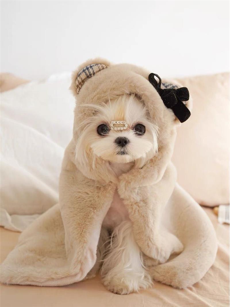 Cute Bear Plush Cloak & Blanket for Dogs & Cats – Cozy Seasonal Wear