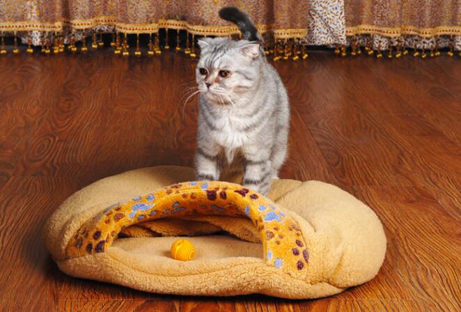 Cozy Winter Plush Pet Nest – Soft & Warm