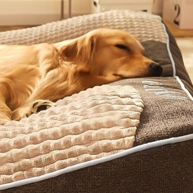 Four Seasons Pet Sofa Bed for Medium & Large Dogs